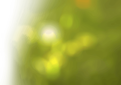 Vibrant Green Abstract Shape on Transparent Canvas - Download Free Stock Videos Pikwizard.com