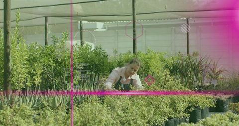 Kneeling woman pruning succulents and shrubs in shaded nursery for sustainable gardening