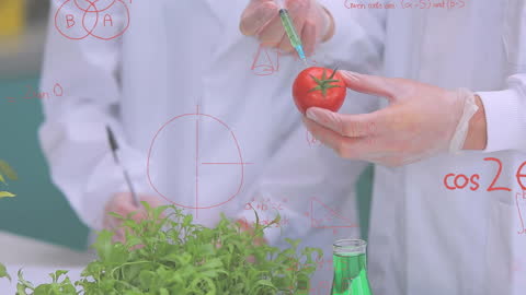 Scientists Vaccinating Tomato with Advanced Equations Overlay