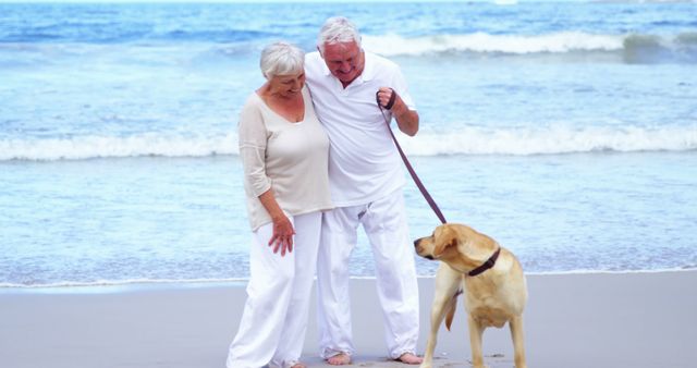 Senior Couple Walking Labrador on Beach - Download Free Stock Images Pikwizard.com