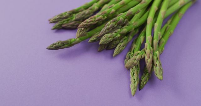A bunch of fresh green asparagus displayed on a vibrant purple background. Perfect for use in healthy eating promotions, recipe blogs, cooking magazines, nutrition articles, or any material promoting organic and plant-based foods.