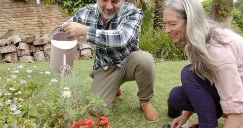 Senior Couple Gardening Together in Home Backyard