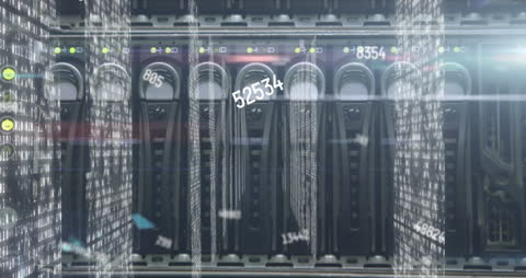 Data Processing and Servers Visualization with Flickering Figures