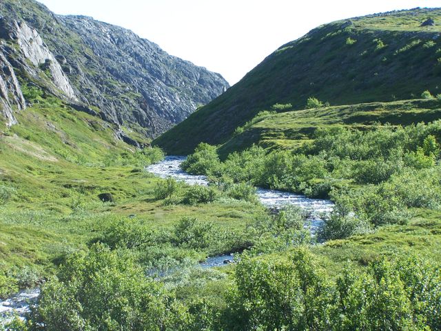 Gentle valley stream flows between green mountains filled with lush vegetation. Ideal for use in nature-themed websites, travel brochures promoting outdoor activities, environmental campaigns, or as a scenic background to convey tranquility and natural beauty.