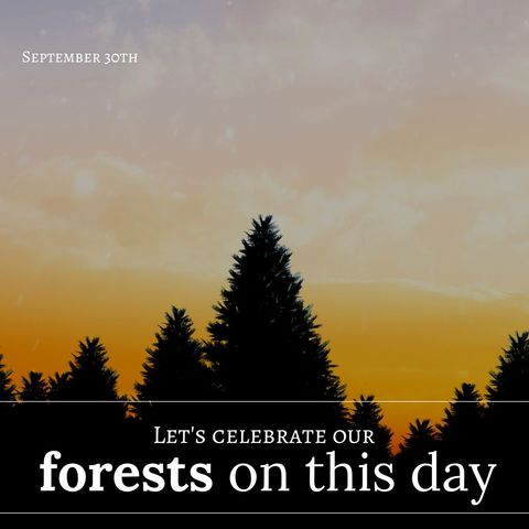 Celebrating Forests Preservation Awareness Day - Download Free Stock Templates Pikwizard.com