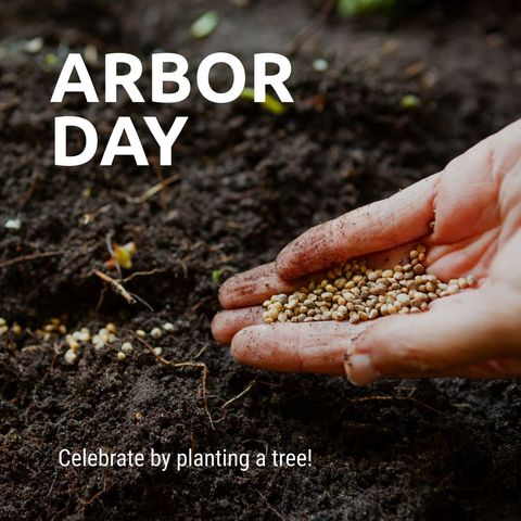 Hands holding seeds for arbor day planting awareness
