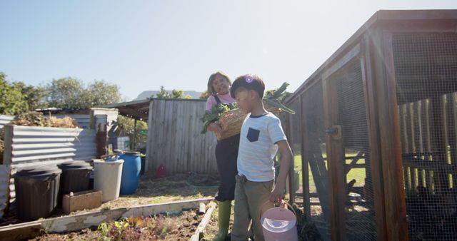 Children Gathering Fresh Vegetables in Urban Garden - Download Free Stock Images Pikwizard.com