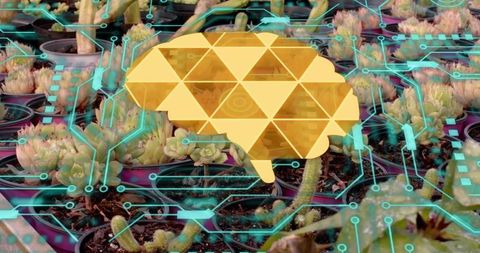 Golden geometric brain overlay hovering above greenhouse succulents with neon circuitry