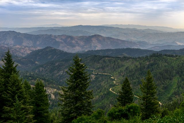 Panoramic view of lush green mountains and forests with winding road at sunset - Download Free Stock Photos Pikwizard.com
