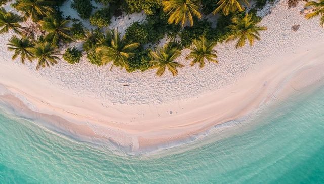 Aerial showing curving tropical shoreline with turquoise water and palms casting shadows
