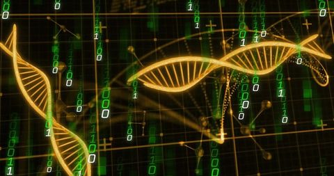 Golden DNA Helix with Streaming Binary Code and Molecular Grid for Bioinformatics Concept