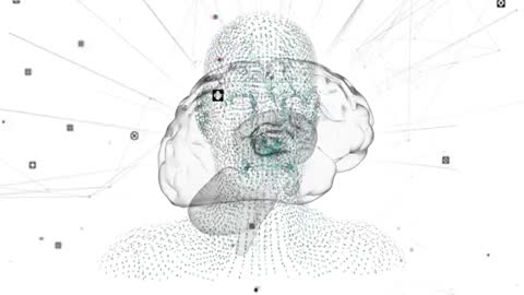 Rotating 3D Wireframe Head with Neural Brain Visualization