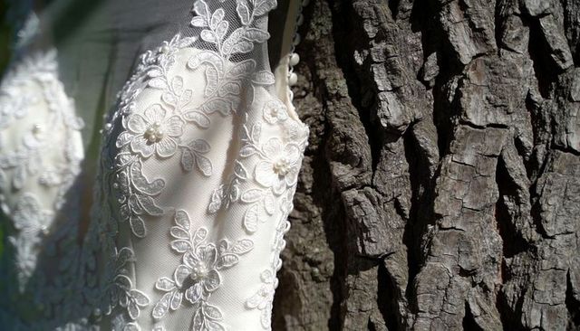 Bridal bodice pressed against tree bark showing tulle lace applique with pearls and buttons