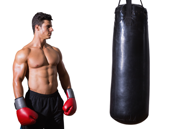 Transparent Boxer In Red Gloves Training By Punching Bag - Download Free Stock Videos Pikwizard.com