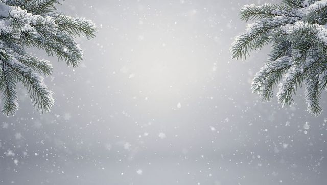 Snowy fir branches framing pale gray winter background with falling snowflakes