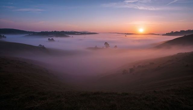 Golden sun rising over misty valley with rolling fog layers and silhouetted trees at dawn