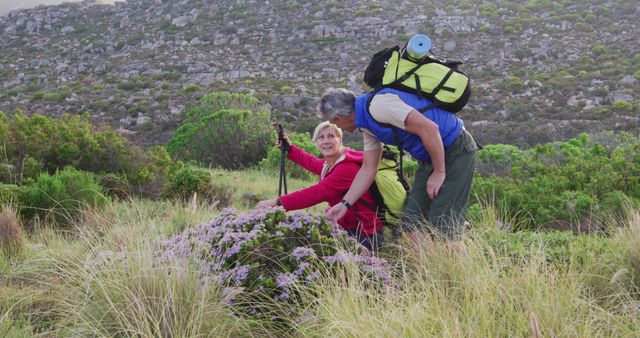 Senior hiker couple with backpacks and hiking poles touching wild flowers on the grass fields in the mountains. trekking, hiking, nature, activity, exploration, adventure concept.