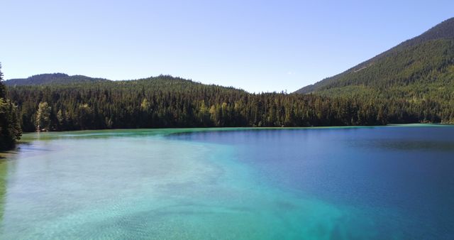 A serene lake nestled in a forested area, showcasing vibrant blue waters. The image captures the tranquility of nature and the beauty of untouched landscapes.