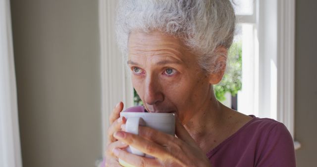 Senior Woman Drinking Hot Beverage by Window - Download Free Stock Images Pikwizard.com