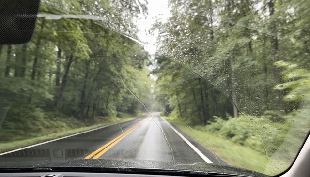 Wiping windshield revealing rainy two-lane forest road with double yellow lines