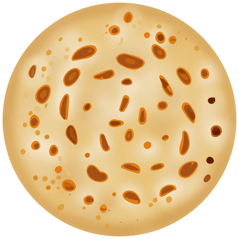 rustic seed flatbread with transparent background ideal for food packaging - Download Free Stock Videos Pikwizard.com
