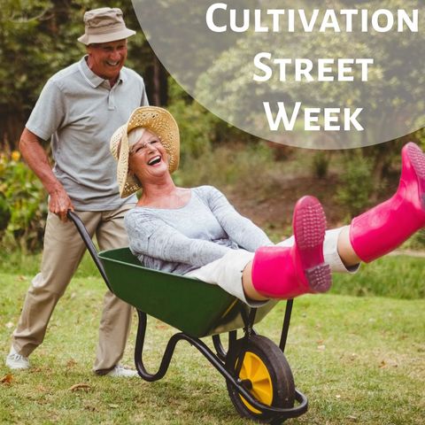 Elderly couple enjoying gardening together in sunny garden