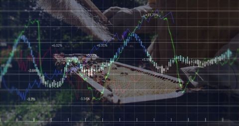 Honeybee Conservation Meets Financial Growth Charts Overlapping