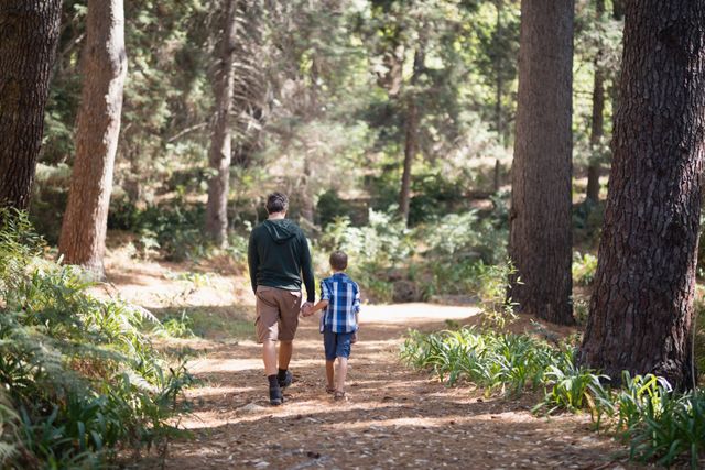 Rear view of father and son walking in forest on sunny day
