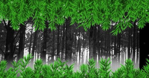 Green Branches Frame Snowy Winter Forest with Falling Snowflakes