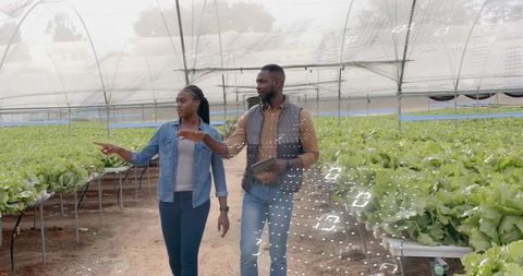 Inspecting Lettuce in Greenhouse with Digital Overlay