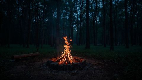 Warm Campfire Glowing in Forest Clearing at Dusk