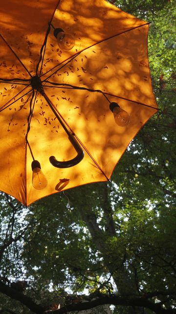 Hanging yellow umbrella in garden with light bulbs attached, blending natural and whimsical elements. Ideal for adding a touch of creative ambiance to outdoor decor, festival designs, DIY projects, artistic blogs, or garden party promotional material.