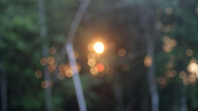 Abstract bokeh background of sunlight filtering through forest trees creates a tranquil and dreamy atmosphere. Perfect for use in nature-themed designs, website backgrounds, relaxation or wellness products, and digital artworks.