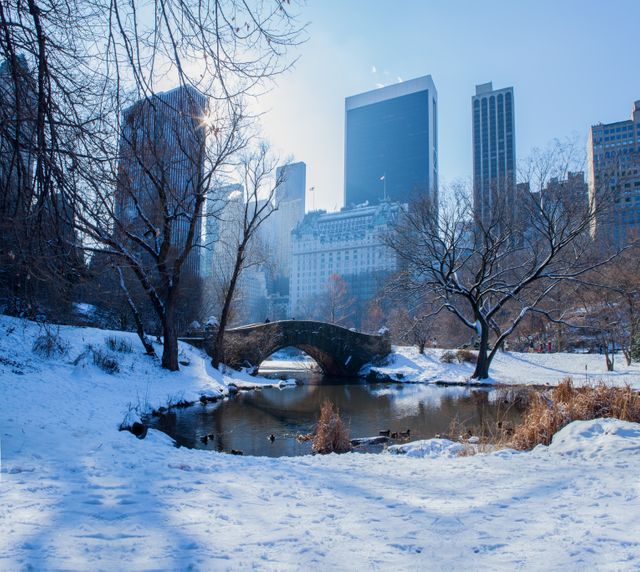 Central Park covered in snow on a clear winter morning, featuring a stone bridge and reflecting city skyline in the background. Ideal for use in winter travel brochures, urban landscape portfolios, or holiday postcards.