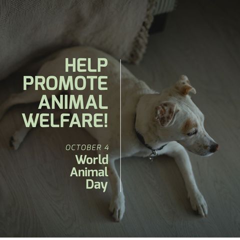 world animal day campaign with dog promoting welfare awareness - Download Free Stock Templates Pikwizard.com