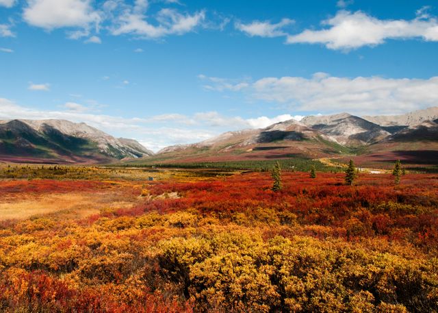 Colorful Autumn Landscape with Mountains and Clear Blue Sky - Download Free Stock Photos Pikwizard.com