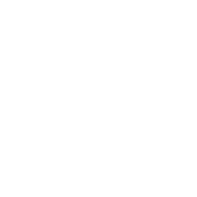 White-paint Drawn Rabbit Isolated on Transparent Background Vector Illustration - Download Free Stock Videos Pikwizard.com