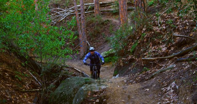 Mountain Biking Through Forest Trail - Download Free Stock Images Pikwizard.com