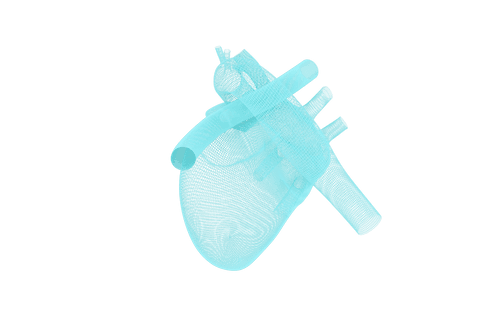 3d transparent digital wireframe heart on white background - Download Free Stock Videos Pikwizard.com