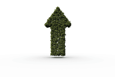 Grass-Covered Upward Arrow on Transparent Background - Download Free Stock Videos Pikwizard.com