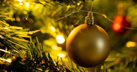 Golden Christmas Bauble on Tree Close-Up - Download Free Stock Images Pikwizard.com