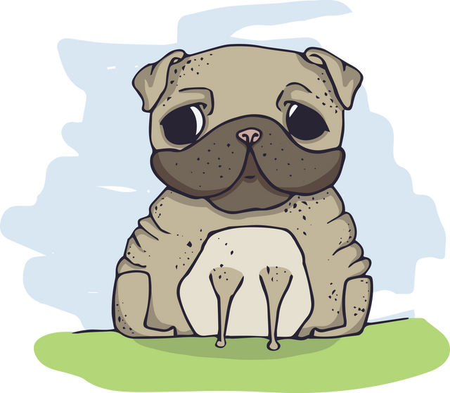 Adorable Pug Illustration on Transparent Background - Download Free Stock Videos Pikwizard.com