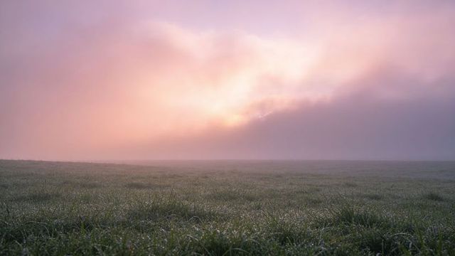 Glittering dew-covered meadow bathing in pastel sunrise light with soft morning mist