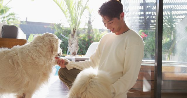 Man kneeling indoors, enjoying playtime with two fluffy dogs. Great for ads promoting pet products, lifestyle blogs about dog care and companionship, and social media posts emphasizing joy and bonding with pets.