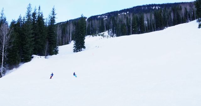 Two individuals are skiing down a snowy slope, surrounded by evergreen trees, with copy space - Download Free Stock Photos Pikwizard.com