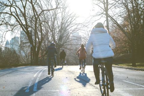 Group enjoying leisurely bike ride road in park on sunny day