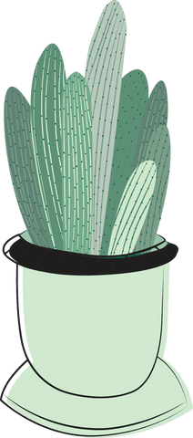cactus in pot digital illustration with transparent background - Download Free Stock Videos Pikwizard.com