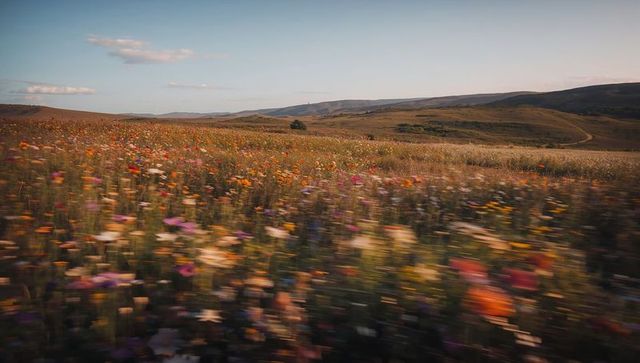Motion-blurred wildflower meadow sweeping across rolling hills with winding trail