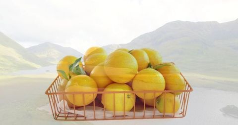 Copper basket of fresh oranges with scenic mountain view