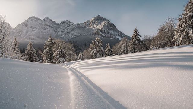 Parallel ski tracks leading through snow-covered alpine valley toward jagged mountain peaks